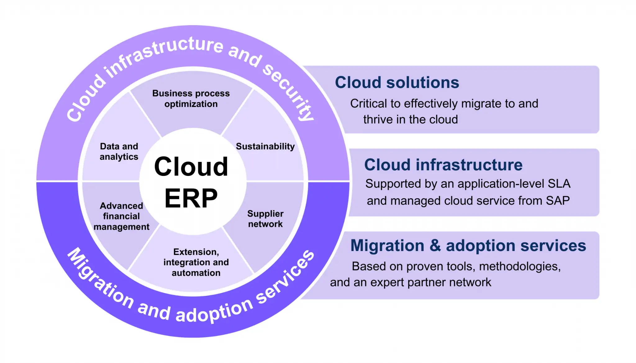 RISE With SAP - Vestrics Solutions
