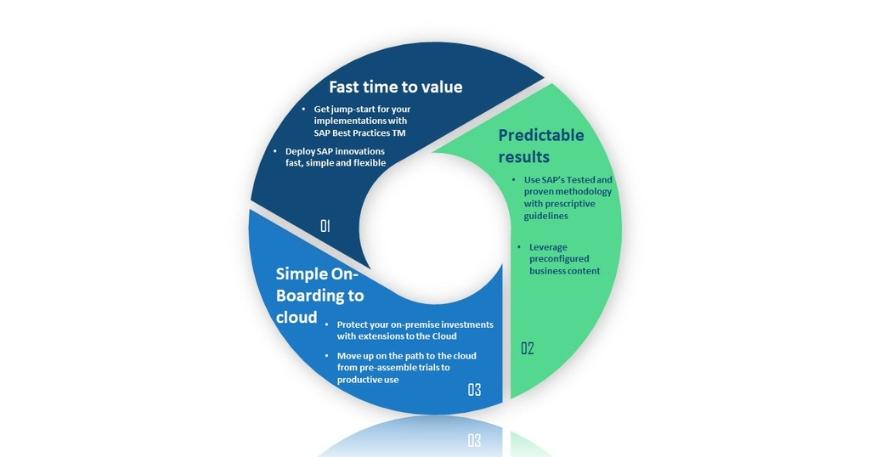 SAP Best Practices | Vestrics Solutions