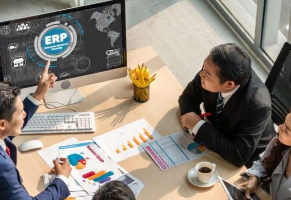 ERP Solutions for Small Businesses | Vestrics Solutions