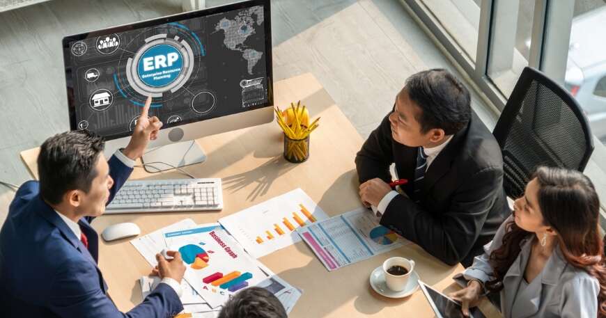 ERP Solutions for Small Businesses | Vestrics Solutions